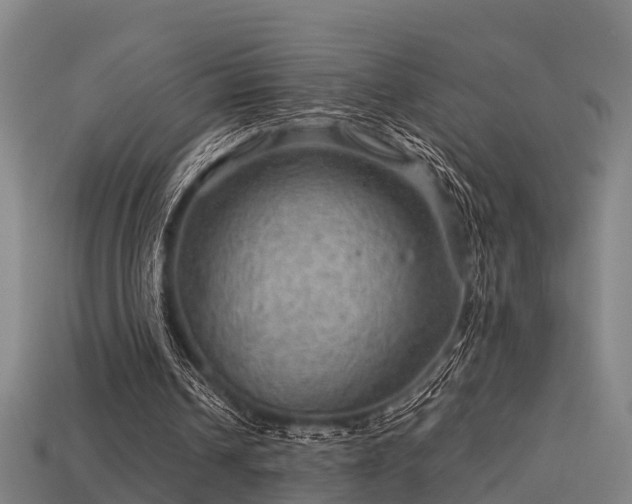 X0000113590242200909251141