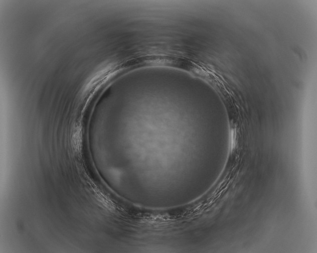 X0000113590243200909251141