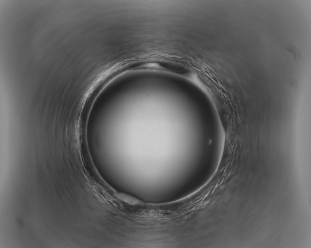 X0000113590244200909251141