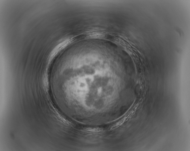 X0000113590245200909251142