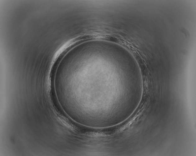 X0000113590246200909251142