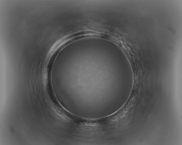 X0000113590247200909251142