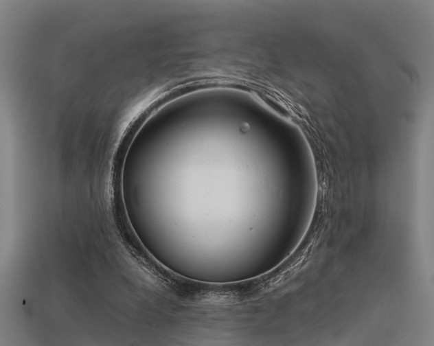 X0000113590248200909251142