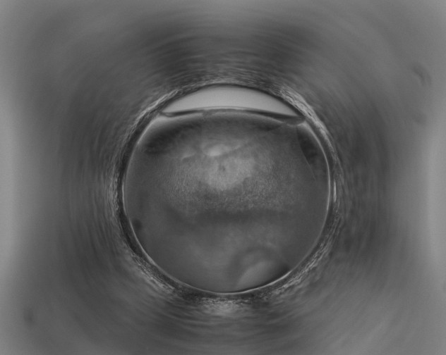 X0000113590249200909251142