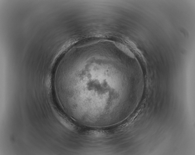 X0000113590250200909251142