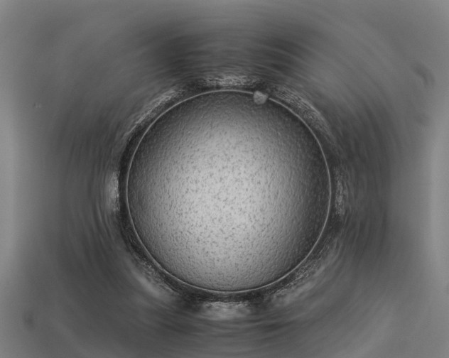 X0000113590251200909251142