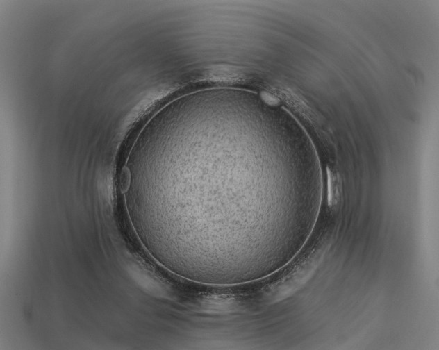 X0000113590252200909251142