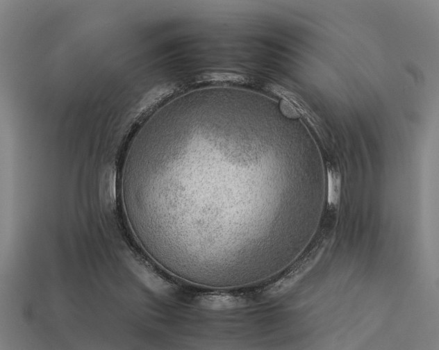 X0000113590253200909251142