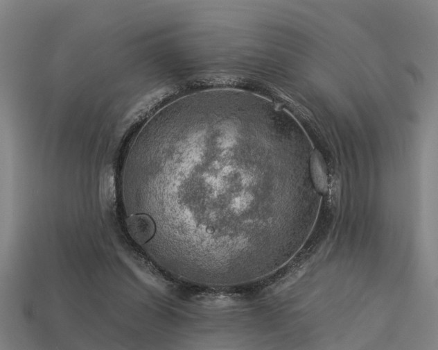 X0000113590254200909251142