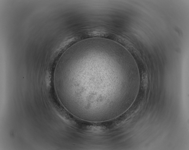 X0000113590255200909251142