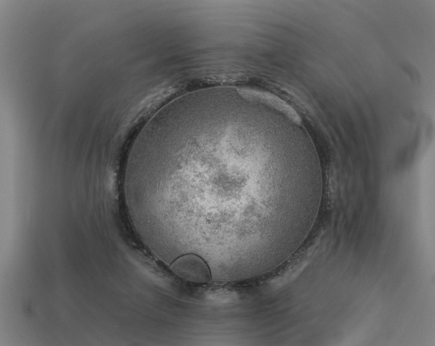 X0000113590258200909251142