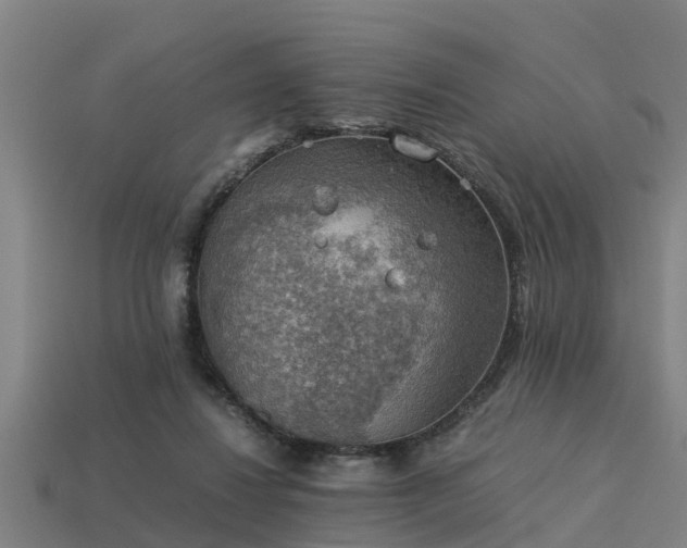 X0000113590260200909251142