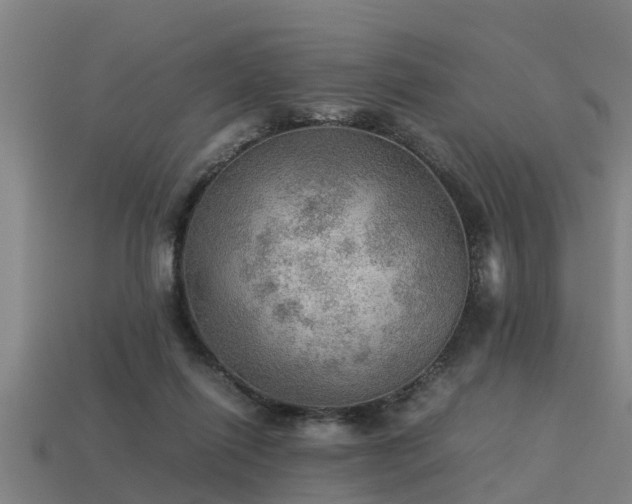 X0000113590262200909251142