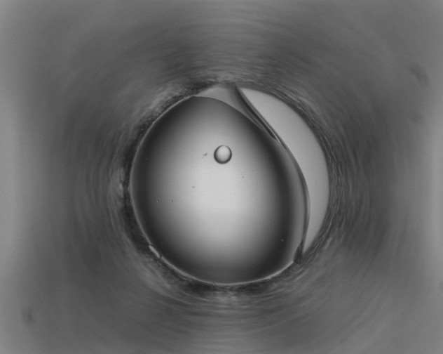 X0000113590264200909251142