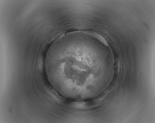 X0000113590266200909251142