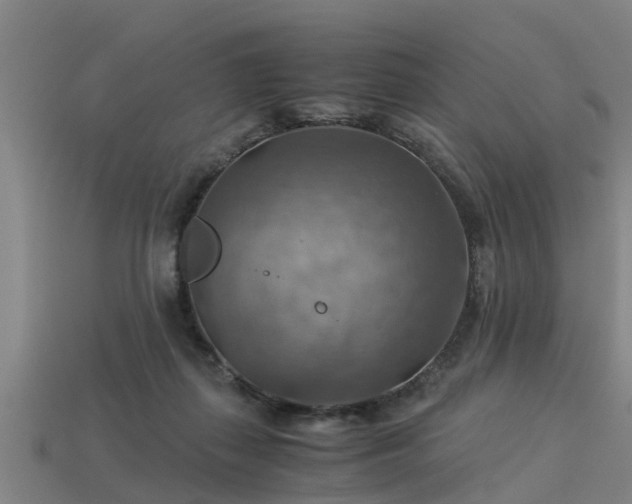 X0000113590267200909251142