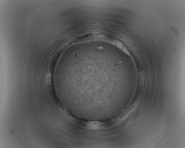 X0000113590269200909251142