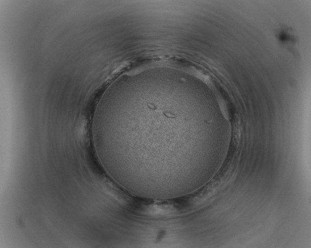 X0000113590270200909251142