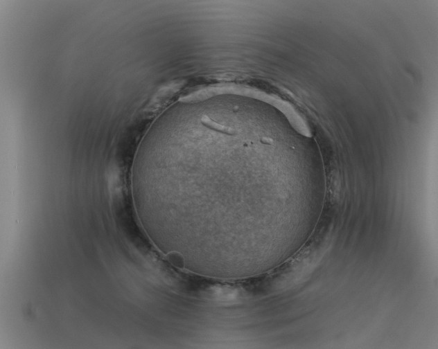 X0000113590272200909251142