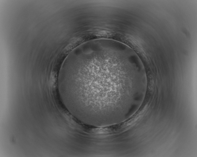 X0000113590273200909251142