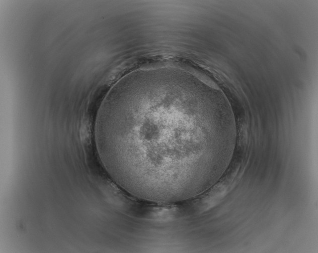 X0000113590274200909251142