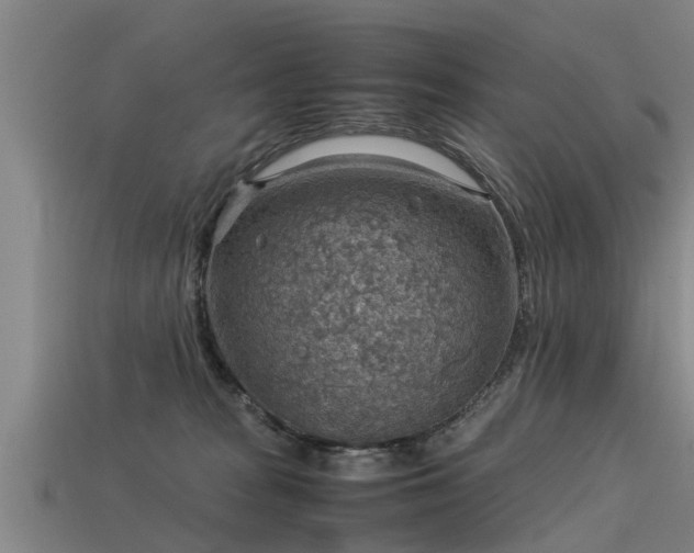 X0000113590277200909251142