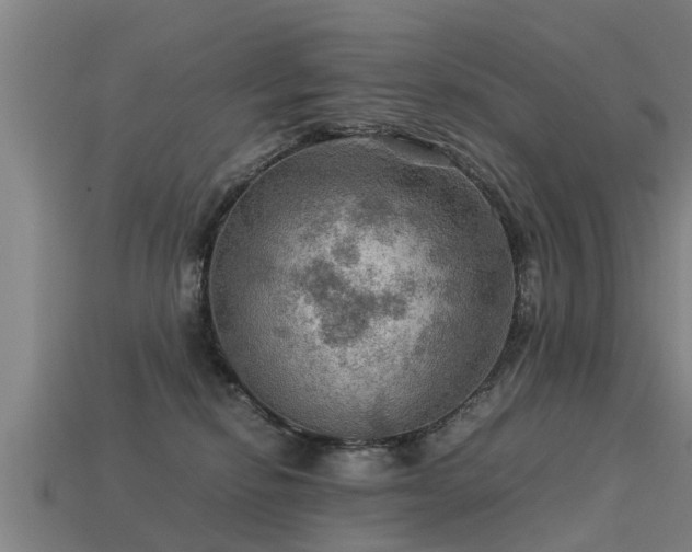 X0000113590278200909251142