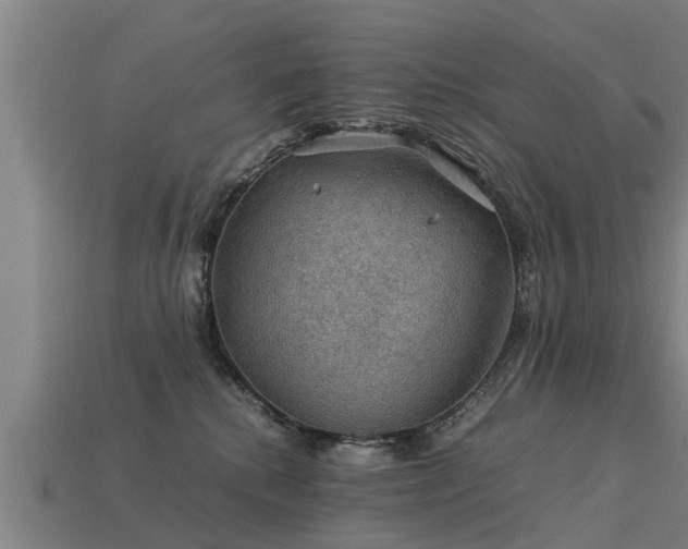 X0000113590280200909251142