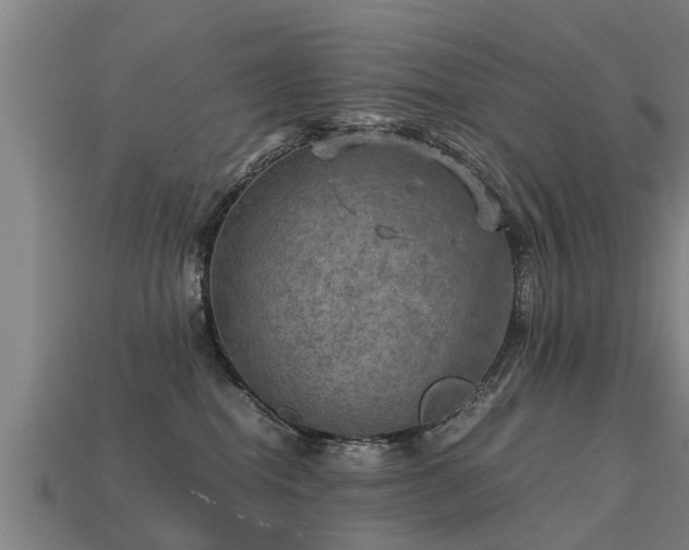 X0000113590282200909251142