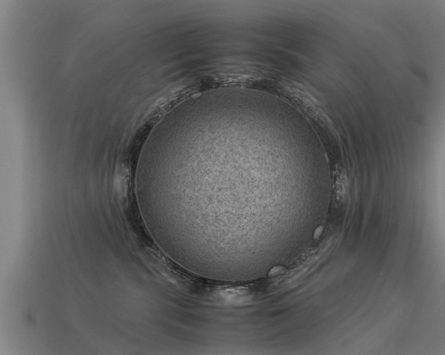 X0000113590283200909251142