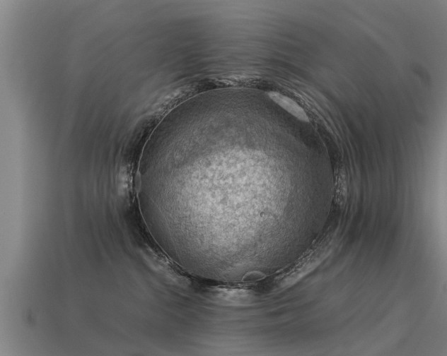 X0000113590284200909251142