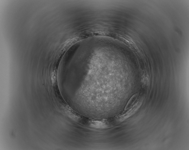 X0000113590285200909251142