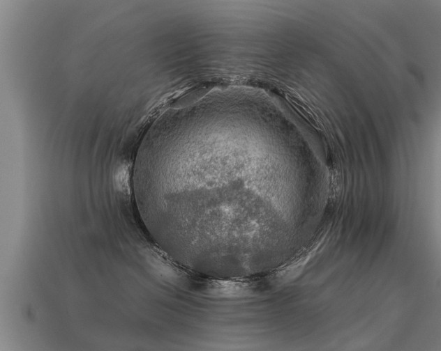 X0000113590286200909251142