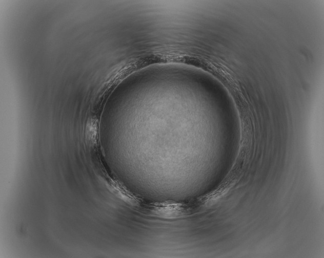 X0000113590288200909251142