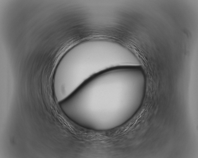 X0000113590289200909251141