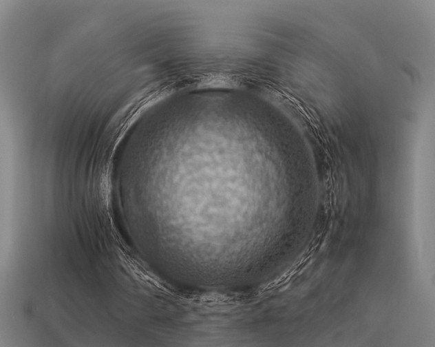 X0000113590290200909251141