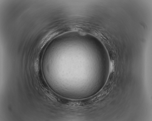 X0000113590291200909251141