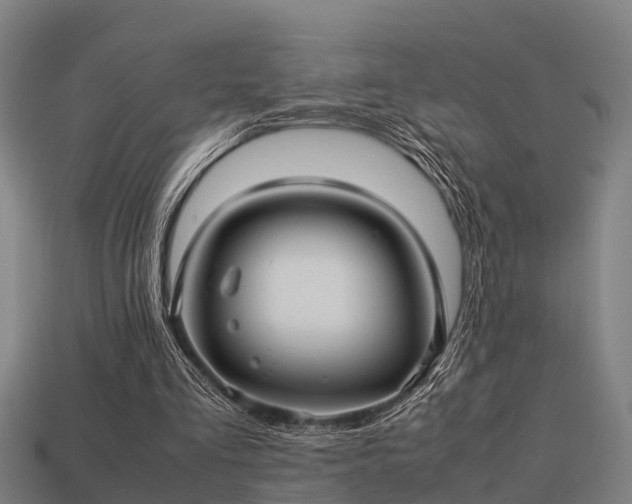 X0000113590293200909251141