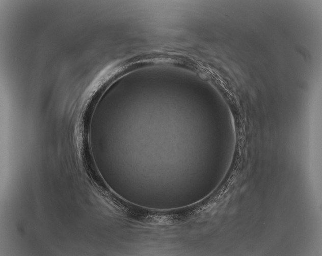 X0000113590295200909251141