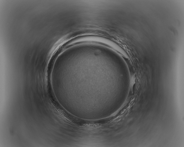 X0000113590296200909251141