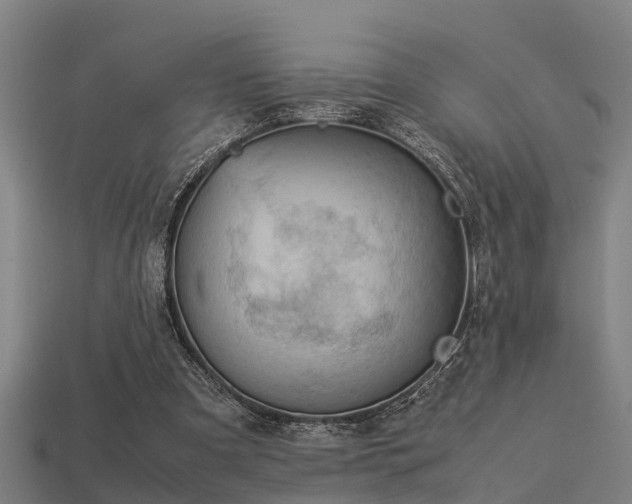 X0000113590297200909251141