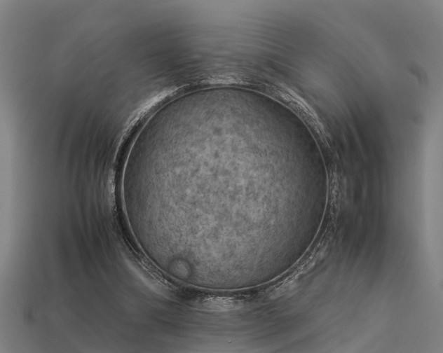 X0000113590298200909251141