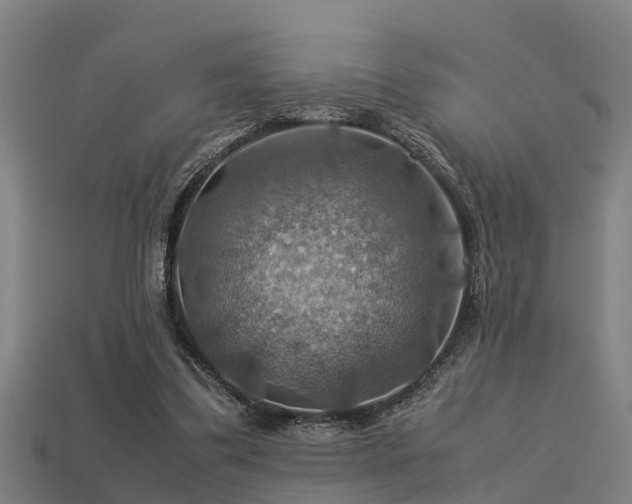 X0000113590299200909251141