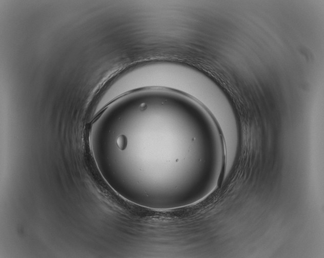 X0000113590300200909251141