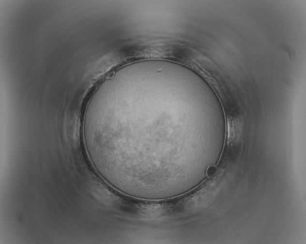 X0000113590301200909251141