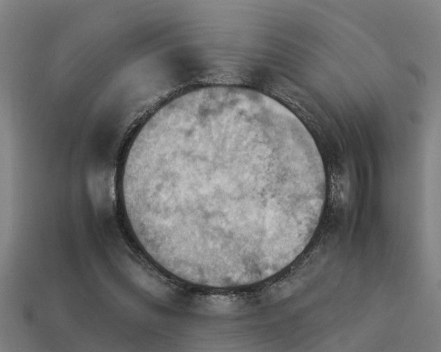 X0000113590302200909251141