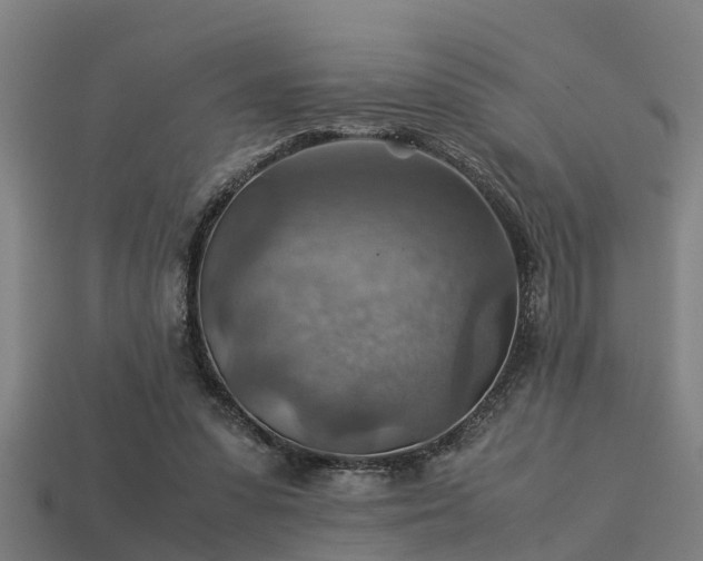 X0000113590303200909251141