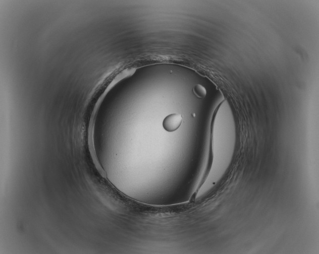 X0000113590304200909251141