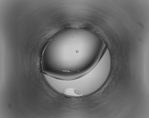 X0000113590305200909251141