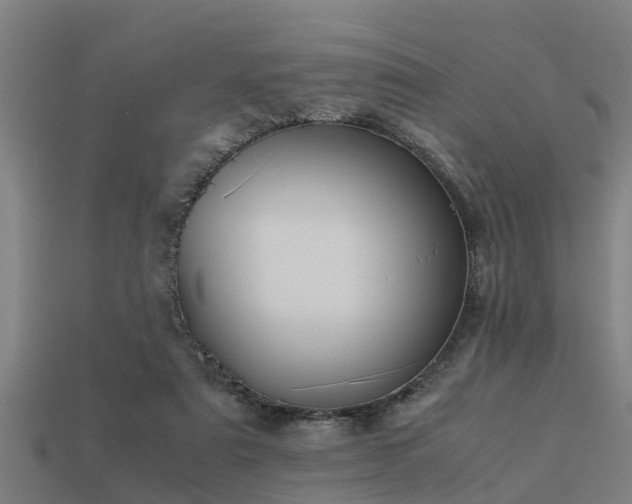 X0000113590307200909251141